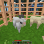 screenshot_20220525_190243.png