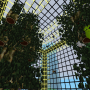 screenshot_20211216_181005.png